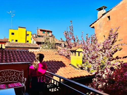 Falcone 22 - image 7