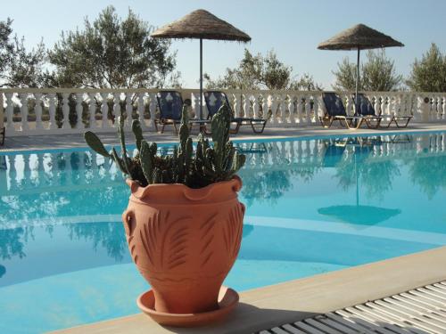 Piscina, Nikolas Villas in Perissa