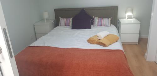 Sal Guest House 5