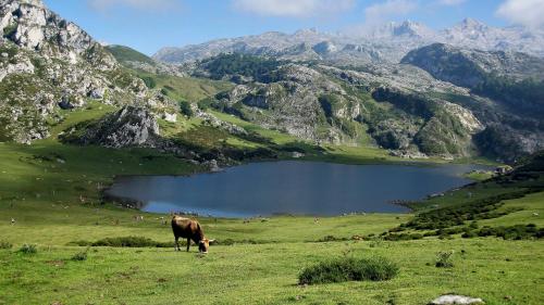 El Mirador del Sella