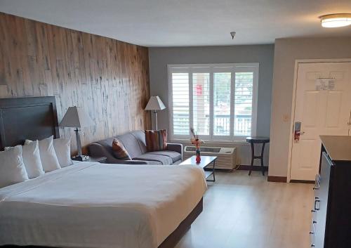 1 king bed, 1 sofa bed