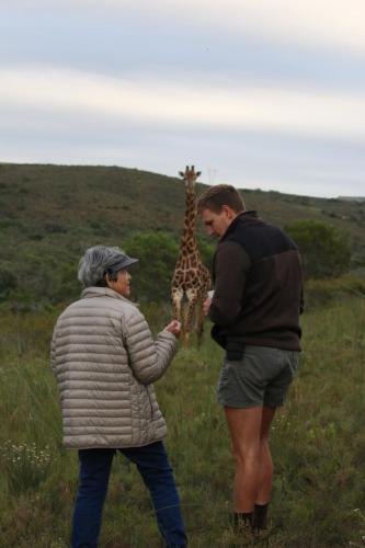 Garden Route Safari Camp