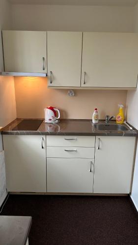 ห้องครัว, Apartmán Kovárna (Apartman Kovarna) in ปาเซกา