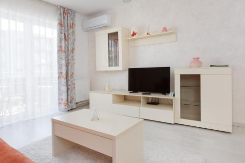 Brasov Holiday Apartments - image 10