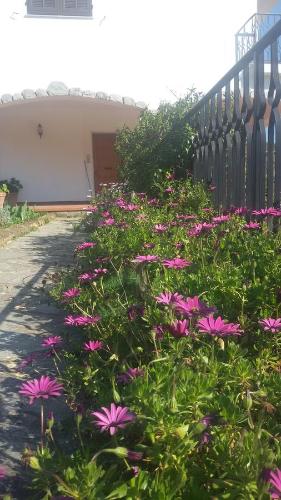 House in Caramagna, Imperia (photo 9)