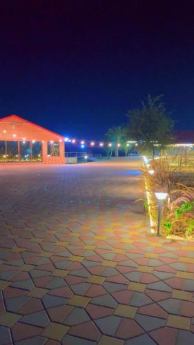 مزرعة السعادة للخيول(المدام) in Murquab