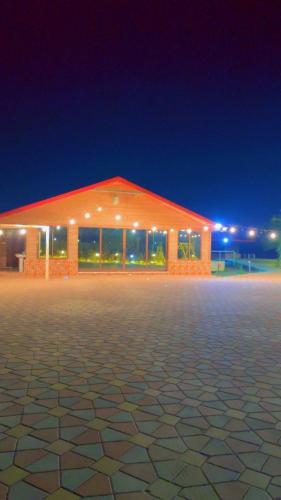 مزرعة السعادة للخيول(المدام) in Murquab