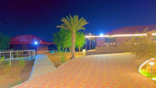 مزرعة السعادة للخيول(المدام) in Murquab