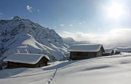 CASA LUMNEZIA - Panoramic Ecodesign Apartment Obersaxen - Val Lumnezia I Vella - Vignogn I near Laax Flims I 5 Swiss stars rating