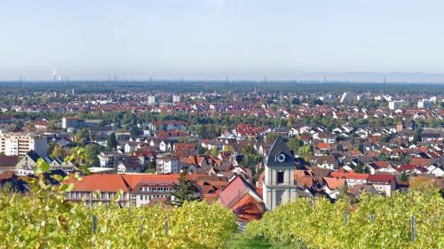 Große Ferienwohnung, Apartment in Leimen WeHome Komfort