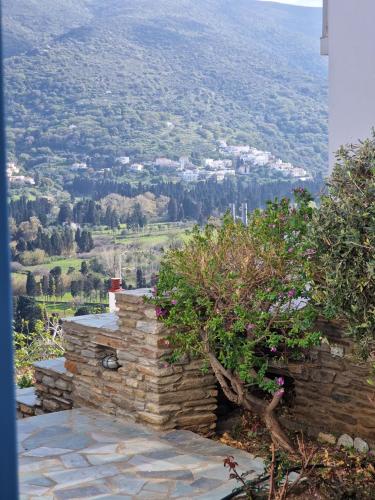 Karaoulanis Apartments, Andros (photo 9)