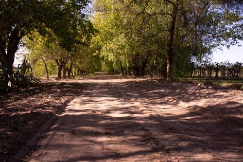 La Finca de Buen Orden