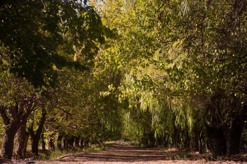 La Finca de Buen Orden