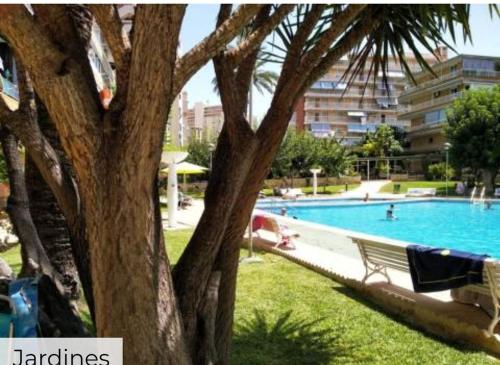  Apartamento en la Playa San Juan Benancantil, Pension in Alicante