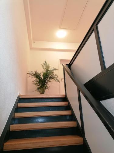 Altes Gesellenhaus in Dinklage