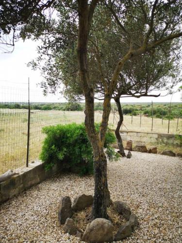 Cottage Su Lizzu countryside&sea