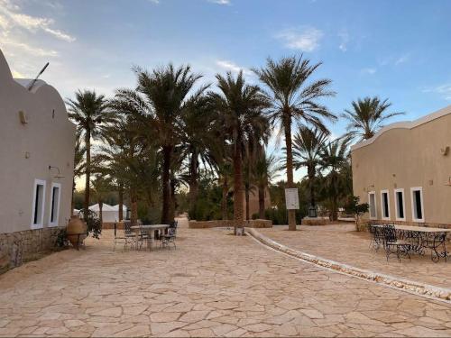 Hotel Pansy in Ksar Ghilane