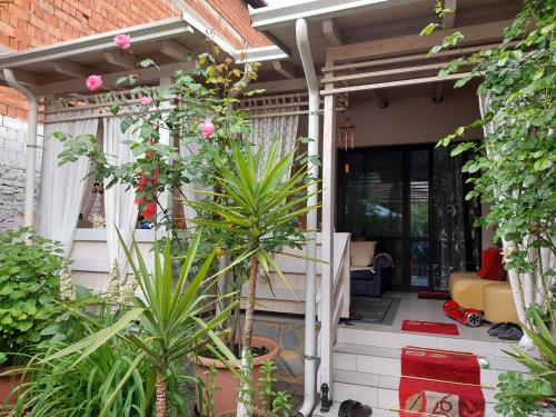 Guesthouse Hygge, Tirana (Foto 10)