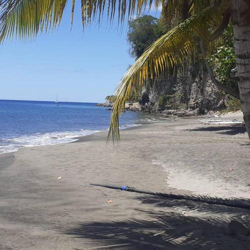 Joli T2 au bord de mer de Schoelcher - Location saisonnière - Schoelcher