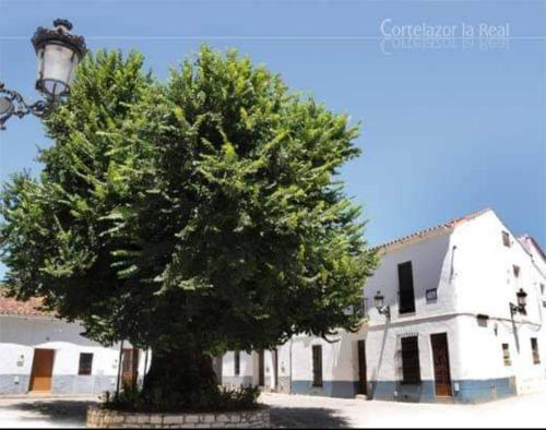 Casa coro