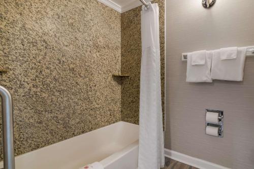Comfort Inn & Suites Plattsburgh - Morrisonville - image 6
