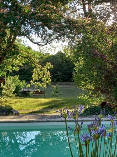 le jardin de myrtille