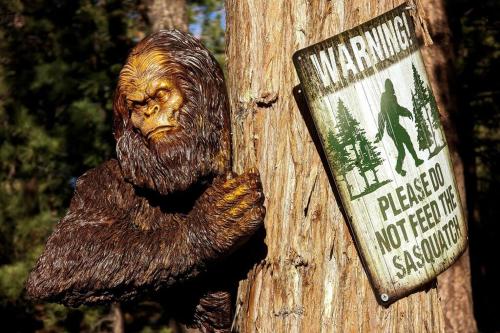 Bel Air of Big Bear - Fun & Tech & Massive Cabin Bel Air of Big Bear - Fun & Tech & Massive Cabin