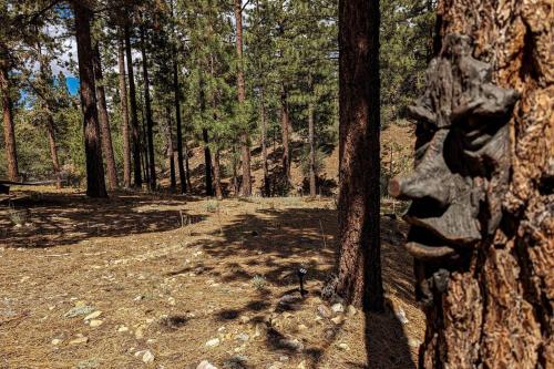 Bel Air of Big Bear - Fun & Tech & Massive Cabin Bel Air of Big Bear - Fun & Tech & Massive Cabin