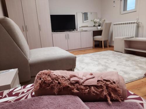 貝爾格勒 Aleksa 1 2星级 单人房 套房