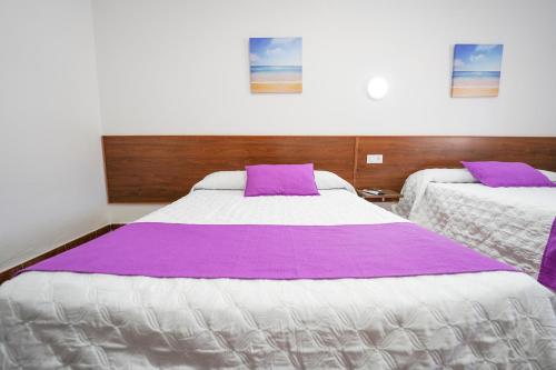 Hostal Los Mellizos - image 8