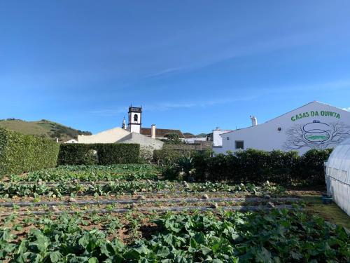  Casas da Quinta in Ribeira Grande