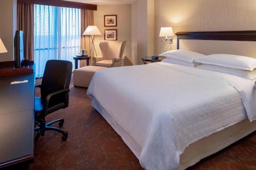 Sheraton Houston Brookhollow - image 12