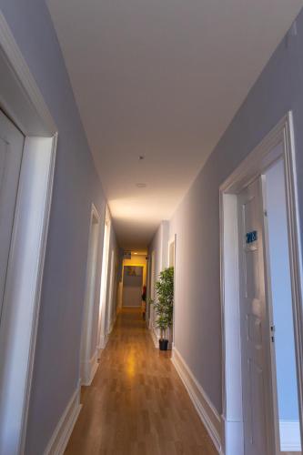 Delight Hostel - image 8