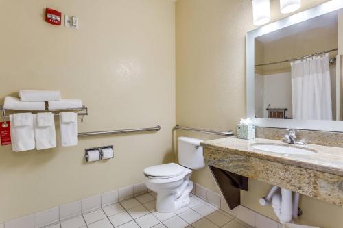 TownePlace Suites by Marriott Dallas Bedford - image 7