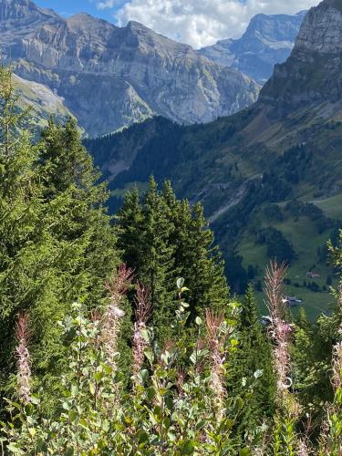 Val D’Illiez mountain apartment.