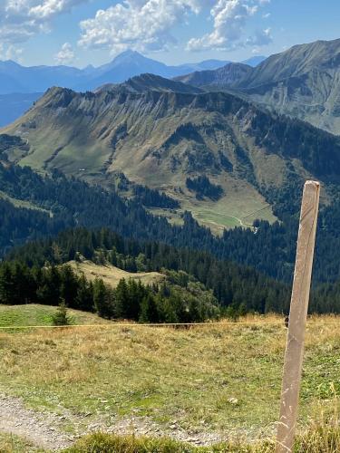 Val D’Illiez mountain apartment.