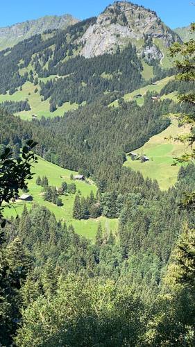 Val D’Illiez mountain apartment.