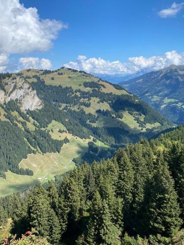 Val D’Illiez mountain apartment.