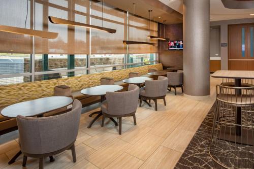 SpringHill Suites By Marriott Frederick - image 8
