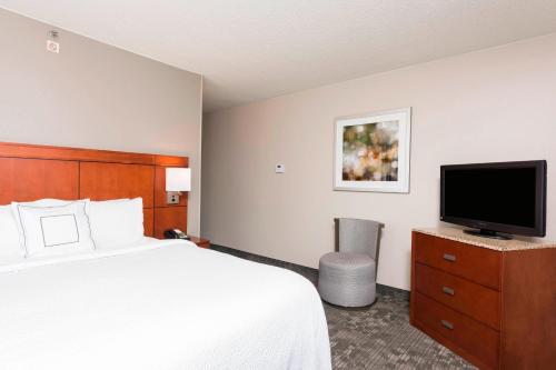 Suite, 1 King, Sofa bed