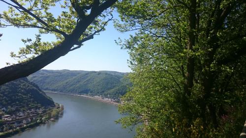 RheinWeinBoppard 2 - mit Rheinblick