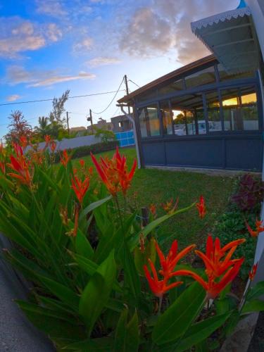 Cozy house for Kite & windsurfers (Le Morne)