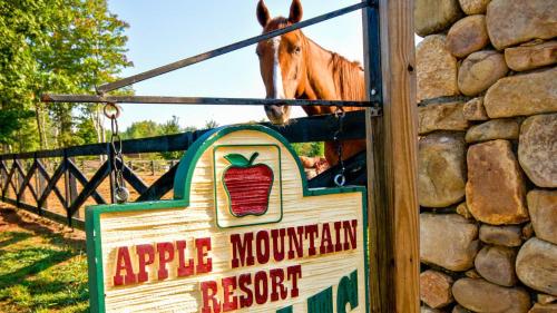Holiday Inn Club Vacations Apple Mountain Resort at Clarkesville