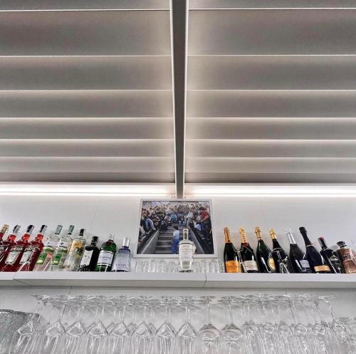 Il Leone Di Mare - image 11