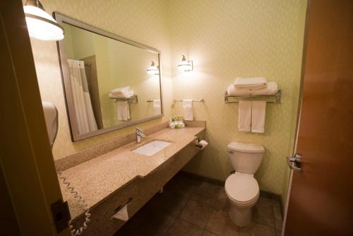 Holiday Inn Express Hotel & Suites Atlanta East - Lithonia