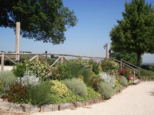 Tenuta Colverano - image 9