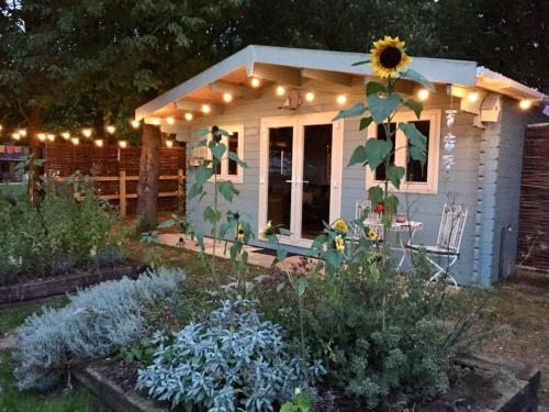 Tranquil Log Cabin - Beautiful Rural Sunset Views