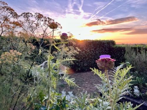 Tranquil Log Cabin - Beautiful Rural Sunset Views