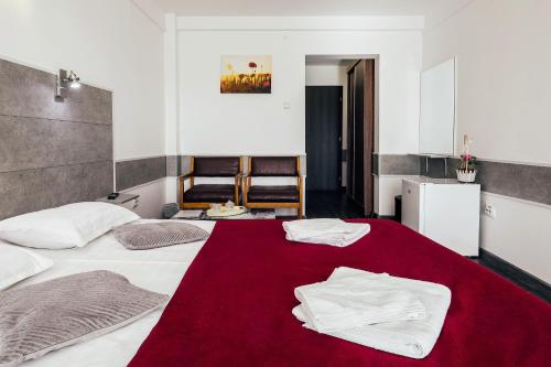 Hotel Simeria - image 6