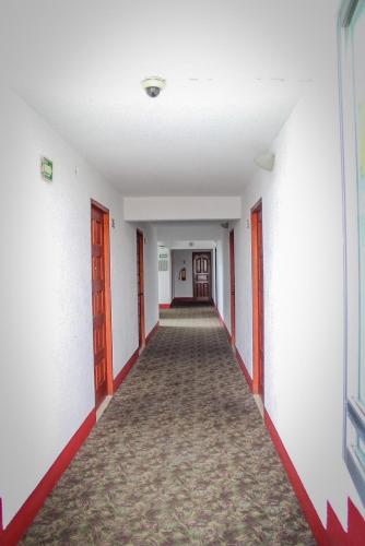 Hotel Aurora - image 3